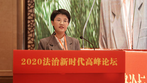 沐邦律师在高峰论坛发言